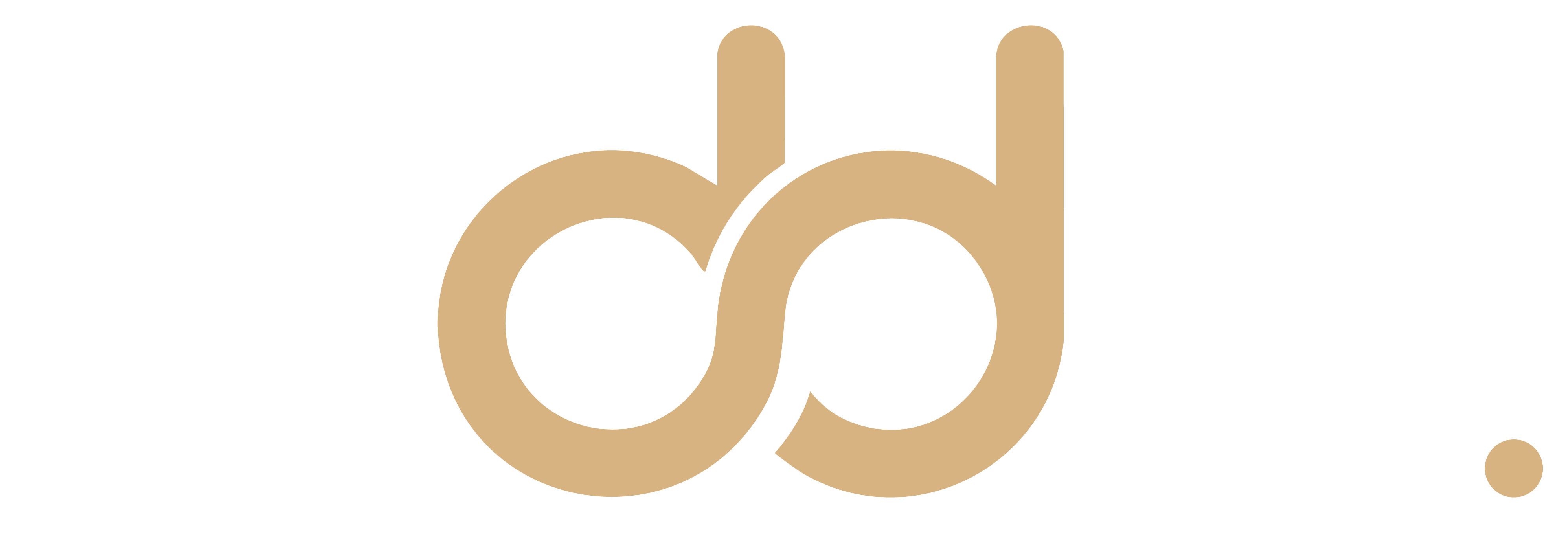 RIDDE Logo